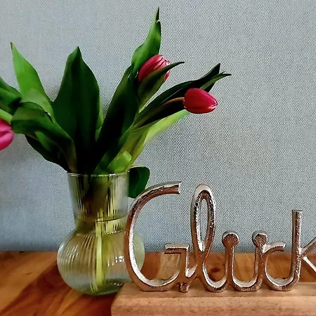 Hafenglueck Apartment Fehmarn